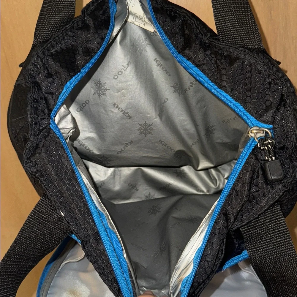 Igloo MaxCold 16-Can Insulated Tote Bag Cooler Lunch Camping Beach - Picture 4 of 6